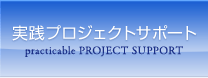 実践プロジェクトサポート
